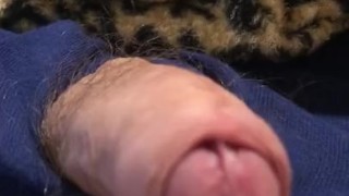Small uncut cock gets hard / small uncut dick